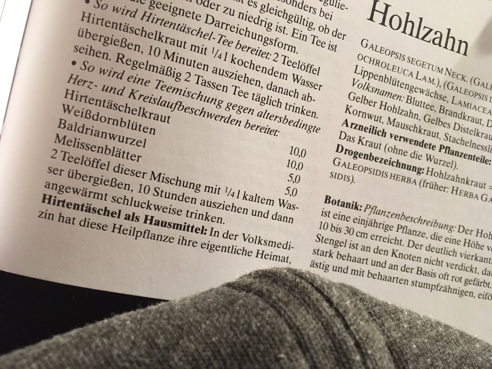 中原 良い本を見つけた 雑草の効能について事細かに書いてあるハーブティー好きのドイツらしい一冊 例えばこのページのナズナは 生理痛に良くて煎じるためのナイスな雑草レシピなど ほとんど庭や森に生えてる草だから地面を見るのが