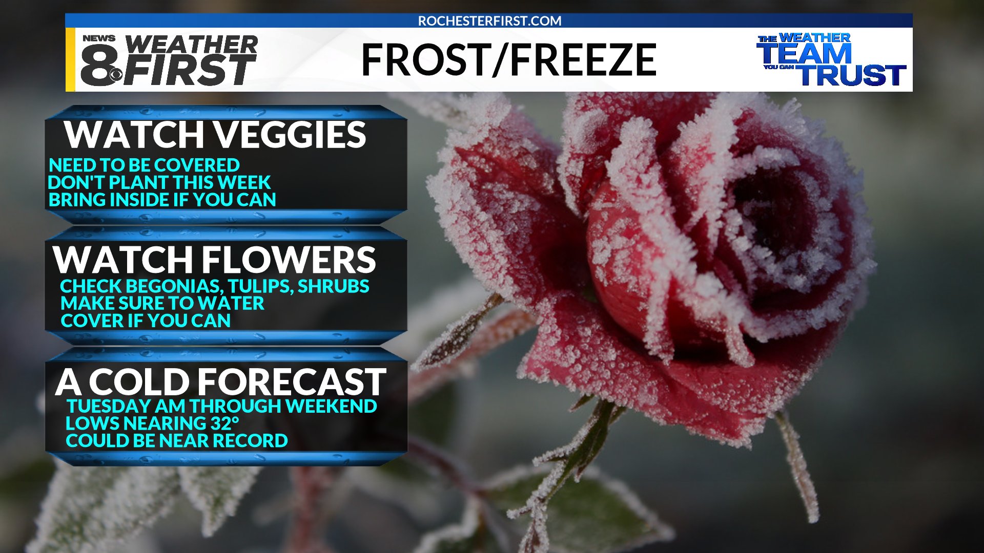 First frost advisory, freeze watch of the season issued