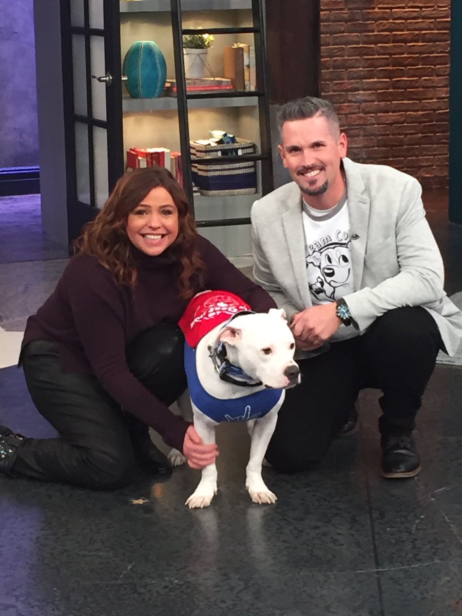 ColeDeaf's tweet photo. Super excited to announce that we will be on the @RachaelRayShow on Thursday May 7. โค๏ธ๐พ๐ค๐ป #blessed #makeadifference #pitbulls #nutrish #Deafdogsrock https://t.co/aglFQ5ce69