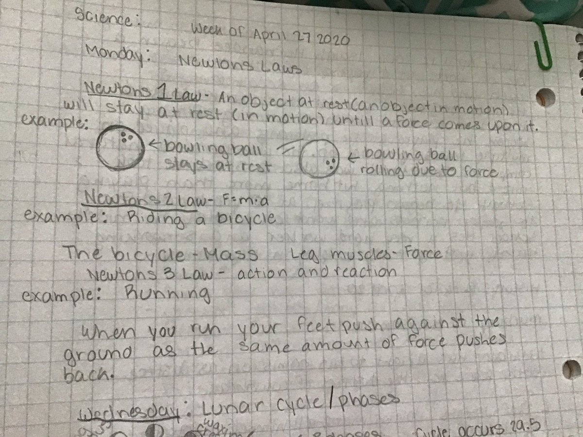 Karie Kinderknecht tweet media