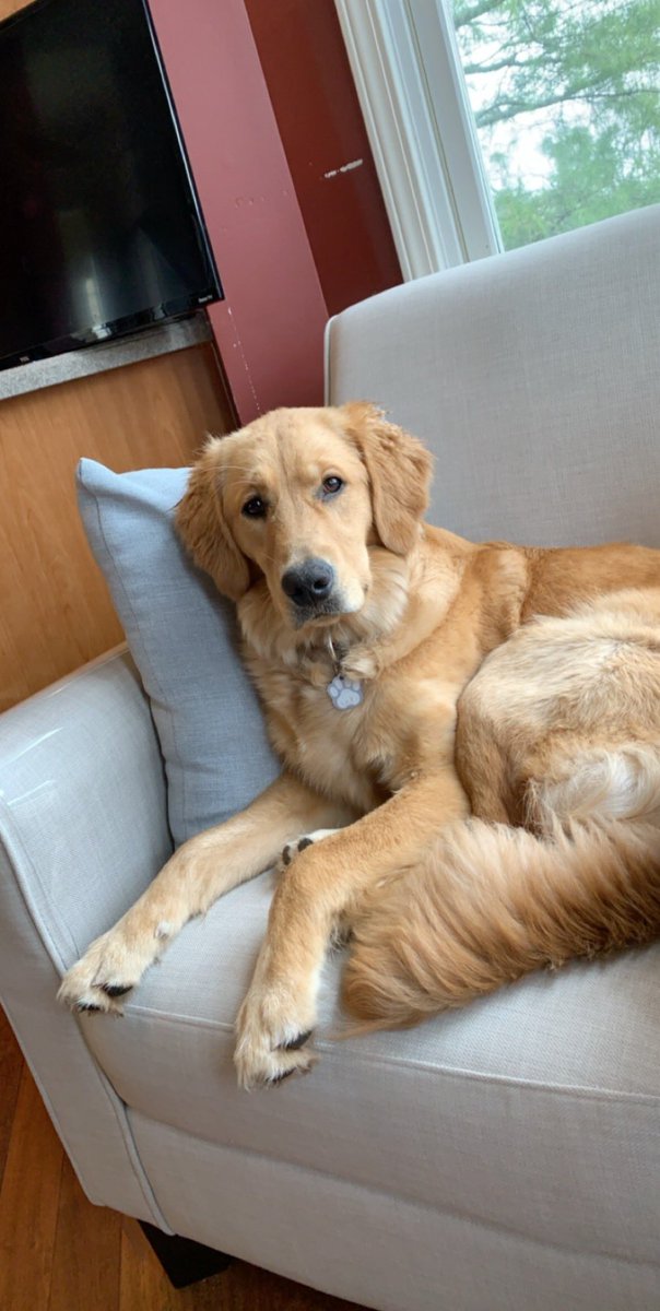 JessicaConvery's tweet photo. My little baby is all grown up 💛 https://t.co/3jzbL82gQj