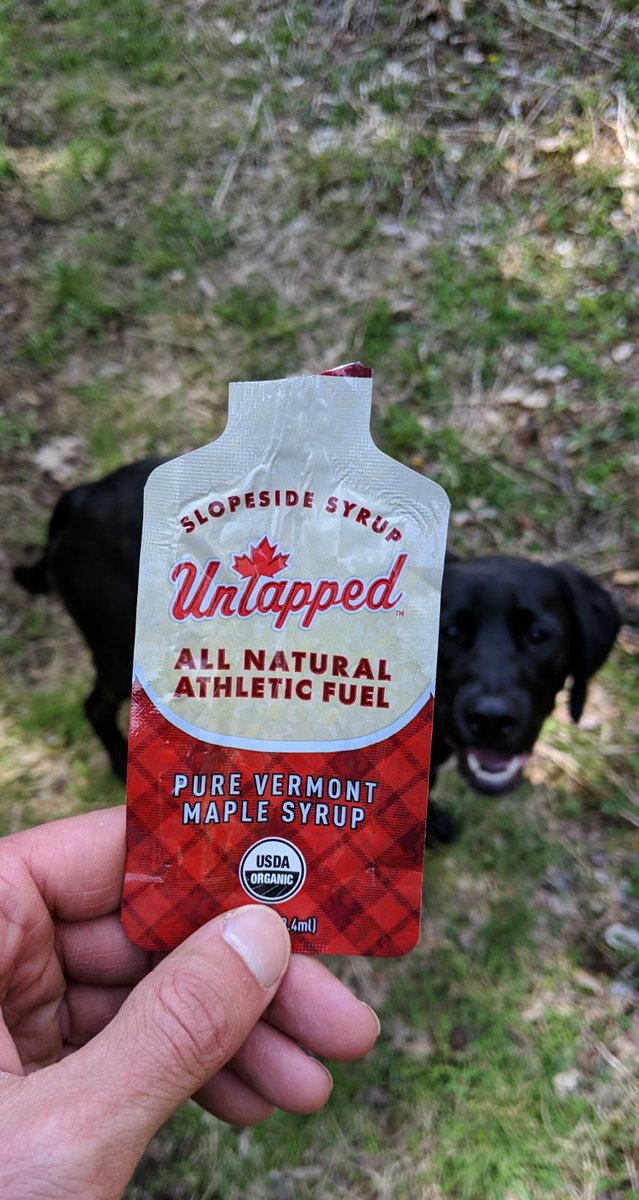 Amathy1117's tweet photo. Thanks to @untappedmaple for fueling yesterday's 14 mile trail run! The Winnifred also approves #getoutside #RobertFrostTrail #centralMA #NewEngland #trailrunning #SocialDistancing https://t.co/RvZXFveYzp
