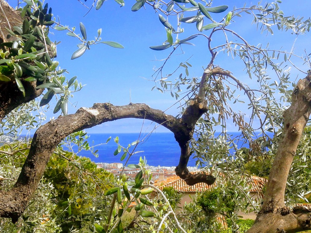 nice_laure's tweet photo. #ConfinementJour48 sur la #cotedazurfrance 🌊☀️ #FenetreSurLaCotedAzur #Frenchriviera #ILoveNice #lookingforsummer #Mediterranean https://t.co/7fSsBeC98F