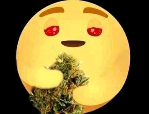 Buenas tardes feliz almuerzo que coman rico https://t.co/RAdQOj4X1D<a href="/tag/mianiversariodetwitter"class="tags"><span>#mianiversariodetwitter</span></a>