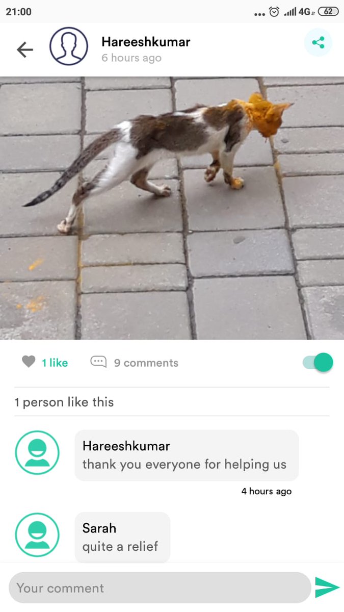 Good news! We are going global
Till date we have helped nearly 5000 animals and birds in India
We are doing a crowdfunding campaign &amp; need your help for the same.
Donate now on bit.ly/LetItWagDonate

<a href="/sonamakapoor/">Sonam K Ahuja</a> <a href="/TheJohnAbraham/">John Abraham</a> <a href="/LetItWagApp/">Let it Wag</a> <a href="/ANI/">ANI</a> <a href="/KapilSharmaK9/">Kapil Sharma</a> <a href="/AnushkaSharma/">Anushka Sharma</a>