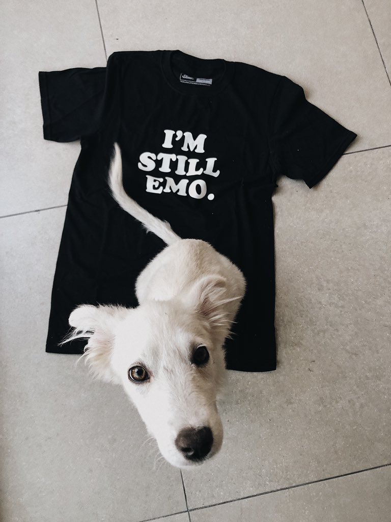 *Nota mental: Toda la merch se ve mejor con cachorros* 

¡I’m Still Emo disponible en la tienda en línea! (Todas las tallas) 🐶 

skullsclothingcompany.com