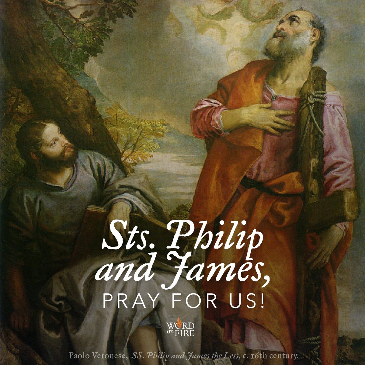 BishopBarron's tweet photo. St. Philip and St. James, apostles of Jesus, pray for us! https://t.co/F4G9DezlEQ