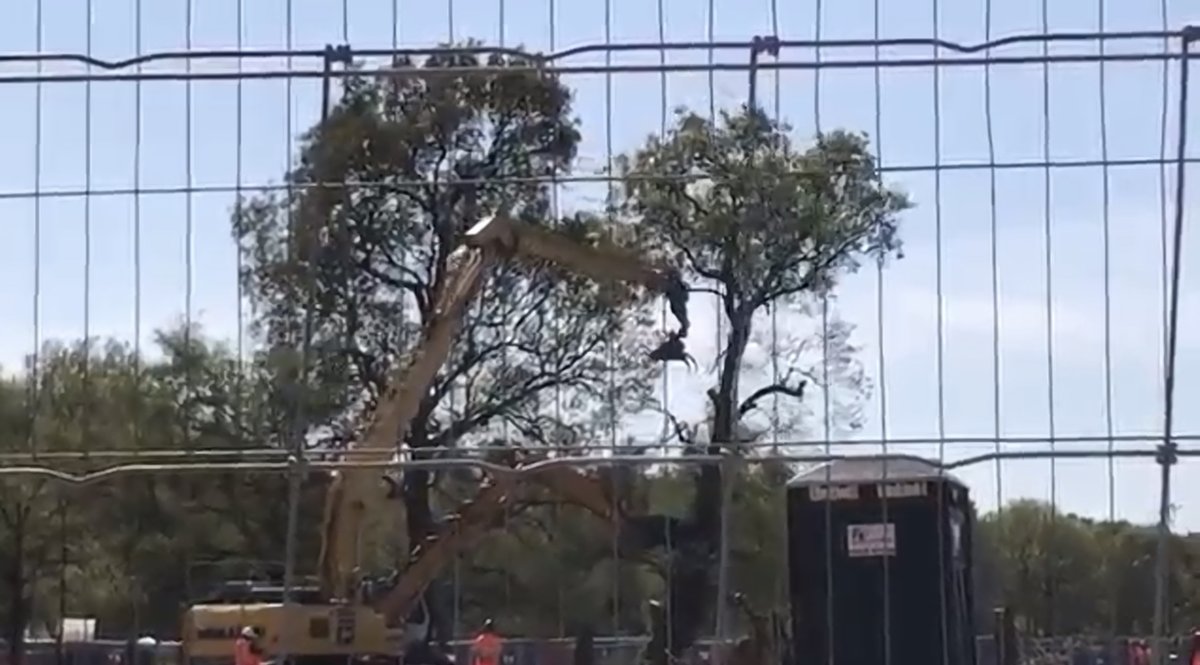 Hs2Rebellion's tweet image. #HS2 won’t be carbon neutral for at least 120yrs. It’ll destroy more than 100 ancient woodlands. At a predicted cost of £108billion. 

For what? 20mins off a journey to London? We’ve got @zoom_us , we don’t need it!

#HS2Rebellion #STOPHS2 #StandForTheTrees
@ChrisGPackham