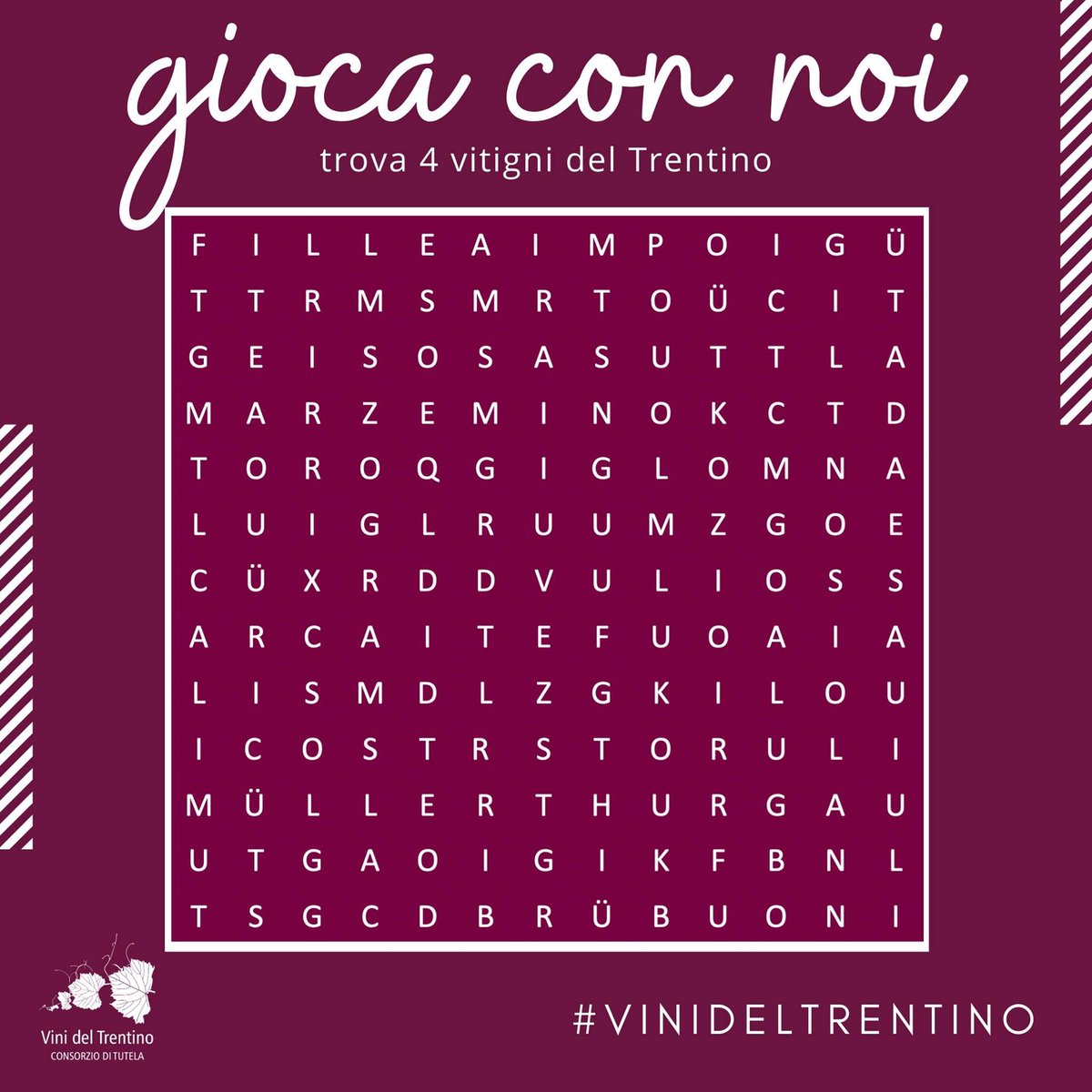 Prova a trovare nello schema 4 vitigni che affondano le loro radici nella terra del Trentino da tempi antichi. Questi 4 vitigni hanno trovato nei particolari microclimi del Trentino le condizioni ottimali per una resa eccellente.

#giocaconnoi #vinideltrentino