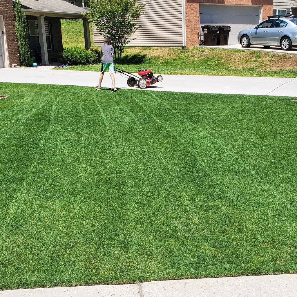 reellowdad's tweet photo. He is trying. #lawncare #rotarylow #reellowdad #tiremarks #peptide #subvert #depth10 https://t.co/KhgGcz3DE8 https://t.co/VhHsTREsL9