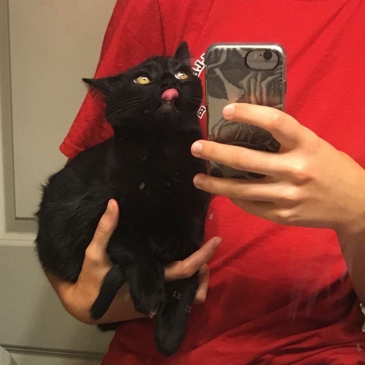 * ( 🏴‍☠️ # 000000 ) 
     
     𓈒  ˙ 𝕾up, bro ไมโจน นายแจฮยอนบอย
 วันนี้จะมา ˓ แลกฟอล 𓐄 ตามทัก ˒ just rt 👁‍🗨 יִ

、ยพท ลฟตท 💀 𓎭𓎭  ⁺  𓈒  ᱸ