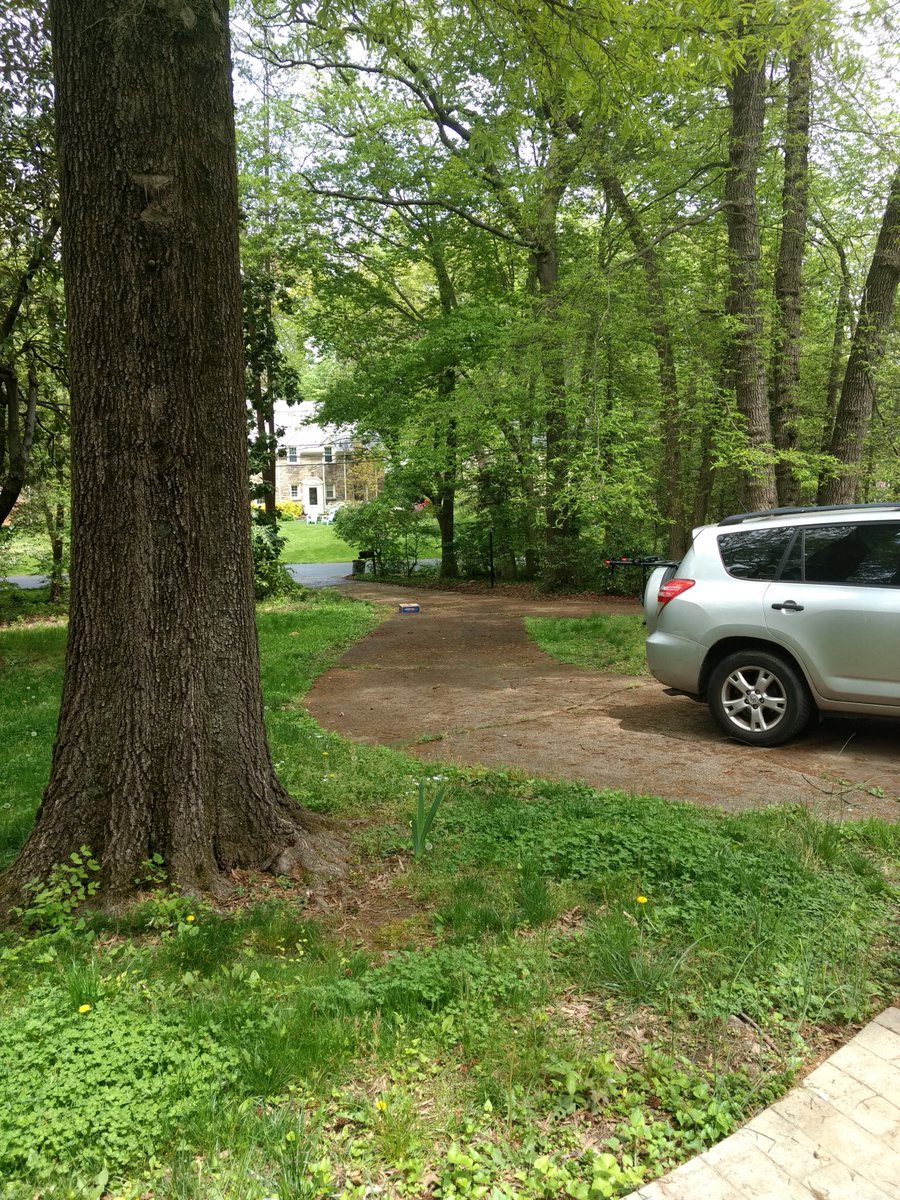 RJD1081's tweet photo. @FedEx @Chewy So, fedex.. this is how you delivery peoples order to their door? 2/3s of the way down the driveway? the tracking say "left at front door" https://t.co/9dlMkoyBdj