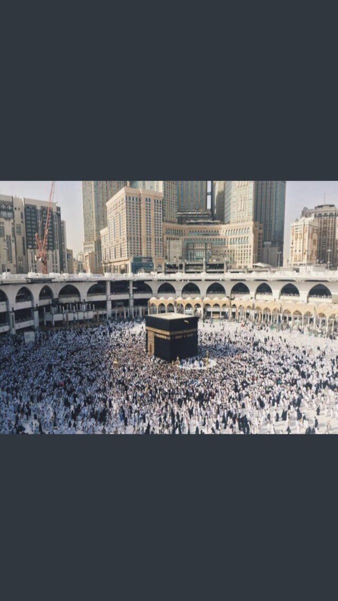 للجنة من يرافقنا ؟ 🍃 tweet media