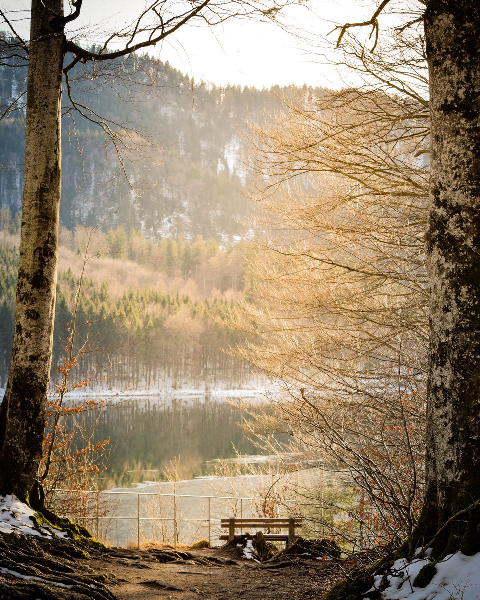 AlexJWriter's tweet image. A few shots from a trip to #Bavaria back in February. Once the current travel restrictions allow, I wholeheartedly recommend a visit. #VisitBayern #VisitGermany