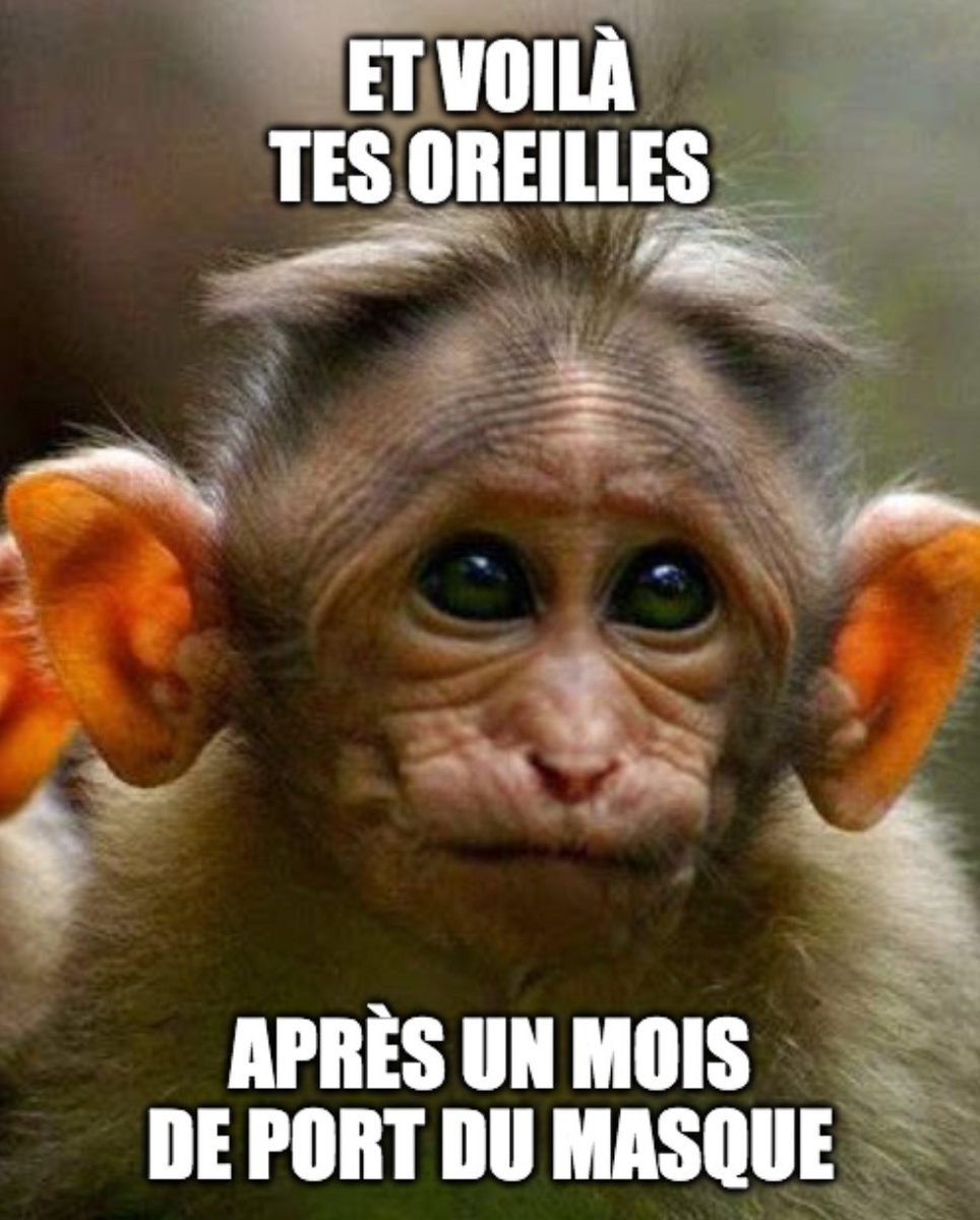 Et voilà tes oreilles après un mois de port du masque !