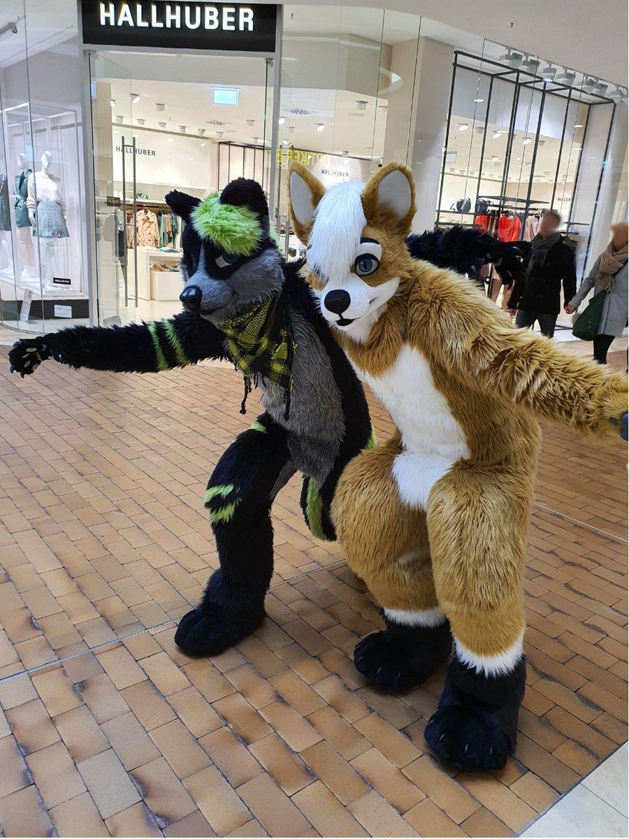 Redline_the_Fox (@fox_redline) on Twitter photo 