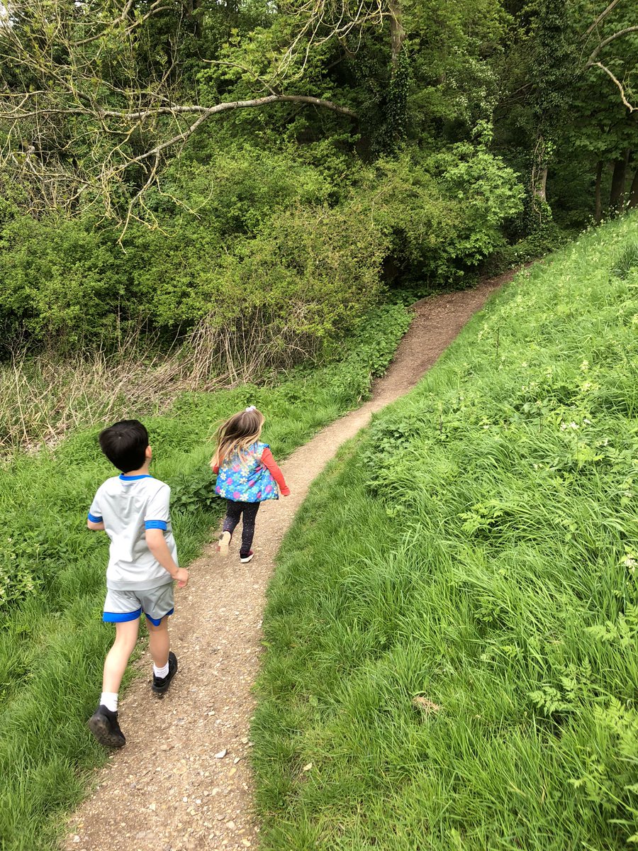 Daily walk and discovering painted stones that look like bugs! Made our walk really exciting! Well done #framrocks #LOCKDOWN2020 #countrylife