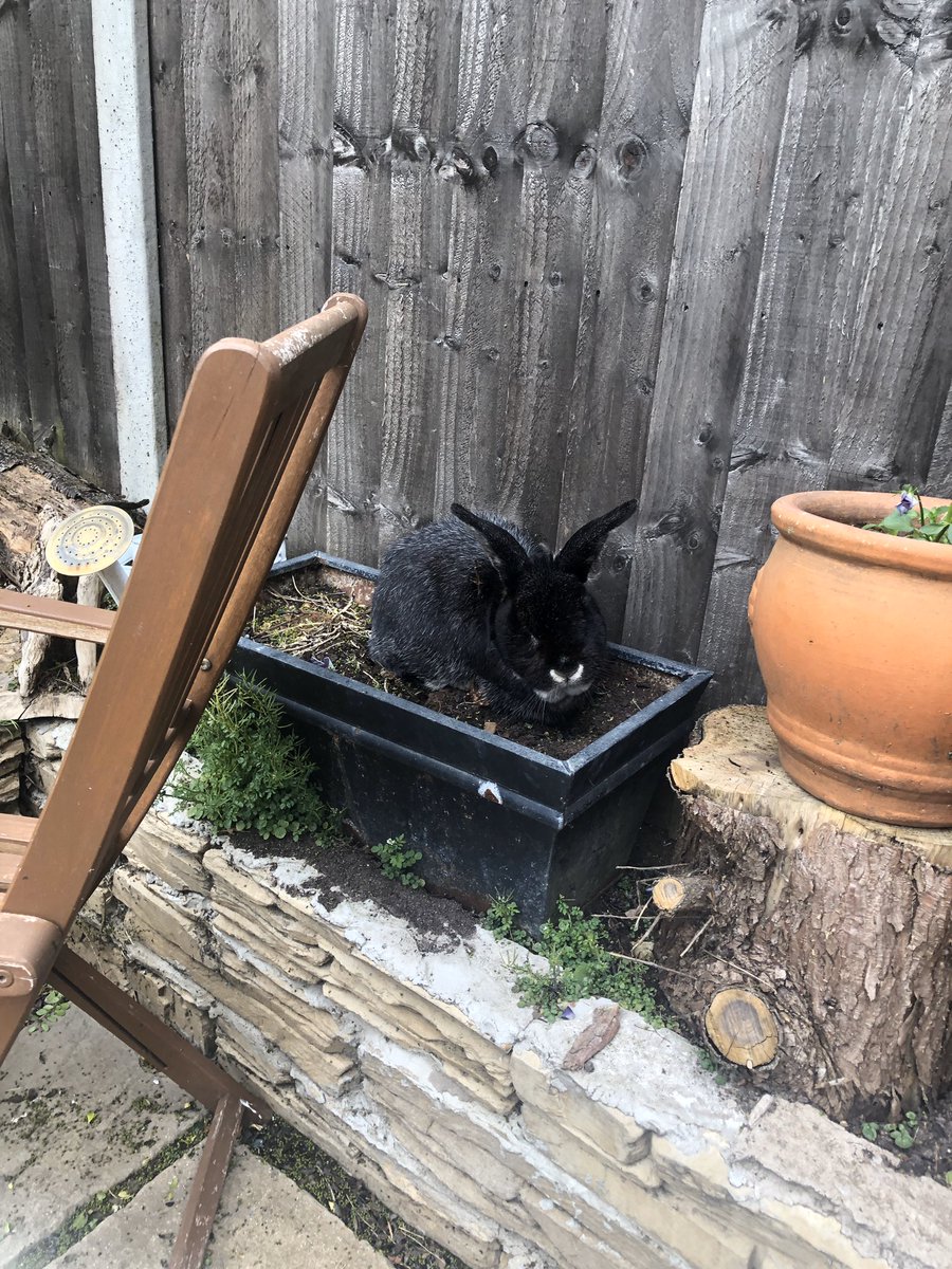 PeerbuxAdam's tweet photo. The rarest of plants https://t.co/4pH6wc51w8