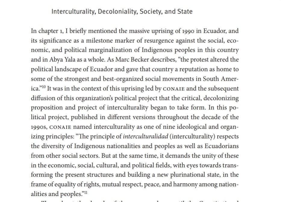 “The principle of interculturalidad (interculturality) respects the diversity of Indigenous nationalities and peoples as well as Ecuadorians from other social sectors. But at the same time, it demands the unity of these in the economic, social, cultural, and political fields...