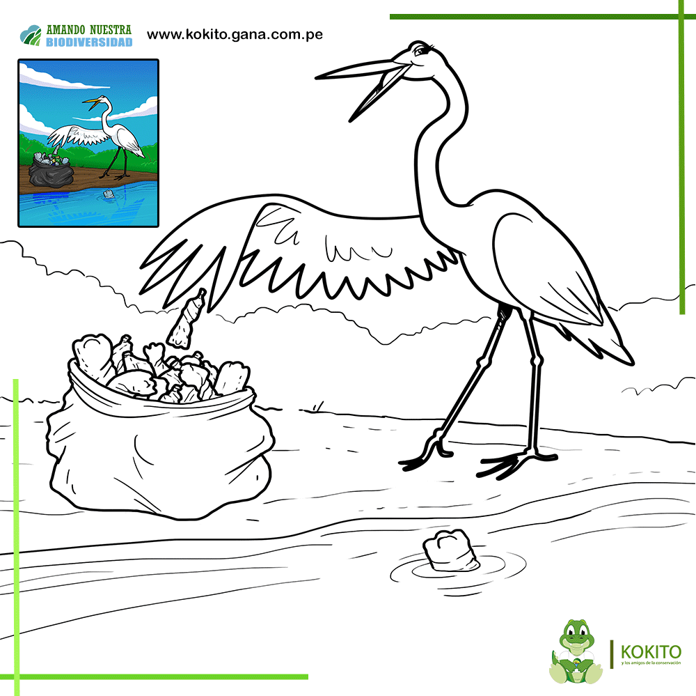 kokitoamazonia's tweet photo. 🌐 https://t.co/UfeBVuDD2I 🐊
#AmigosDeLaConservación

😃 Colorea a los "Amigos de la conservación" 🎨🖍️ Nuestra hermosa y carismática #Blanca 🦢 está limpiando el río donde vive 💧, para proteger el agua del lugar.

➡️ Descarga los documentos en:
https://t.co/aRxMuH3lrI https://t.co/6KvX3ztrlV