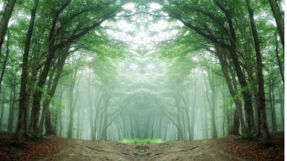 Guided Meditation for Stress Relief: A Walk Through the Forest jennybeanlove.com/2020/05/03/gui…