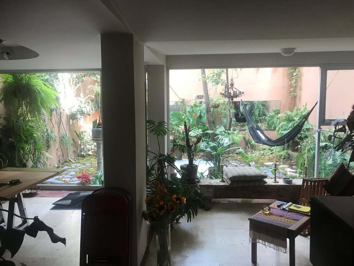 colinself's tweet photo. Hey #COLINSLIST friends~ anyone want to live in Mexico City between July and December? $1200US a month, 2br, house has a gym and sauna and rooftop garden, in Juárez CDMX. DM me if you're interested! https://t.co/SupDB59986