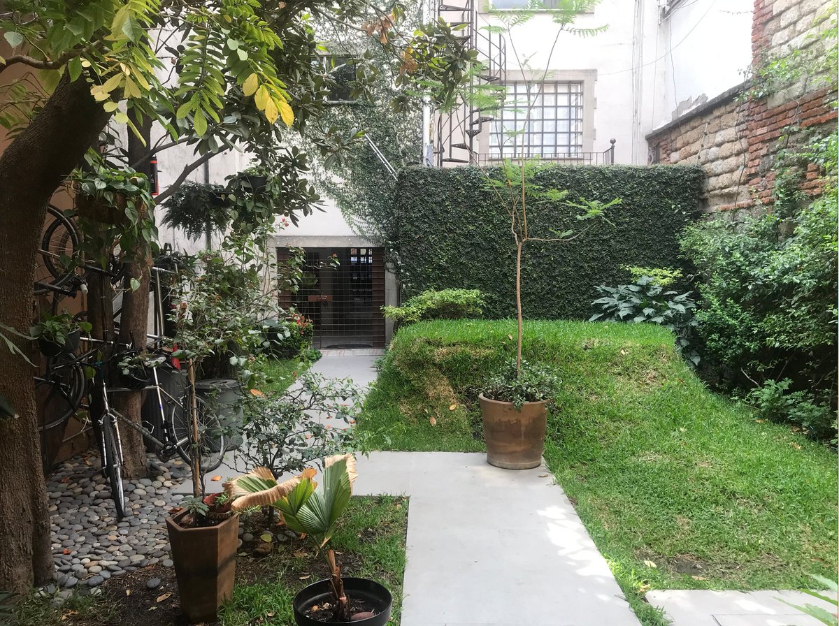 colinself's tweet photo. Hey #COLINSLIST friends~ anyone want to live in Mexico City between July and December? $1200US a month, 2br, house has a gym and sauna and rooftop garden, in Juárez CDMX. DM me if you're interested! https://t.co/SupDB59986