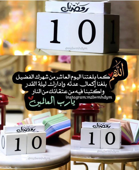 محمد ال خليف tweet media