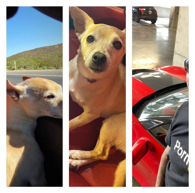 @jaydaahh_ When did everyone get so sensitive? Lip Fillers, Tiddie Jobs, Ass Fillers and hardly any clothing<a class="tags" target="_blank" title="On Twitter" href="/?out=eyJ0eXAiOiJKV1QiLCJhbGciOiJIUzUxMiJ9.eyJpYXQiOjE3MjI4OTU1MDMsImlzcyI6InR3cG9ybnN0YXJzLmNvbSIsIm5iZiI6MTcyMjg5NTUwMywiZXhwIjoxNzU0NDMxNTAzLCJyZWRpcmVjdF91cmwiOiJodHRwczovL3R3aXR0ZXIuY29tL2pheWRhYWhoXyJ9.UnQ1KKNnVfgWNV7bAECXSAyEUM_wufCRa_jjU1FvLHmBAzy6sWxaQ8NEKMVKPUo8T9IG0KbwHyWdS0Q4pGABlw">@jaydaahh_</a>