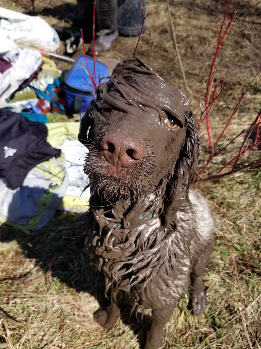 Chris Gynan tweet media