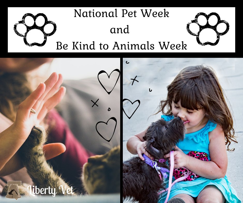 National Pet Week® celebrates the pets that enrich our lives and encourages responsible pet care every day of the year. 
info on be kind to animals week:
ow.ly/2MpH50zuhZt
#BeKindToAnimalsWeek #Petweek