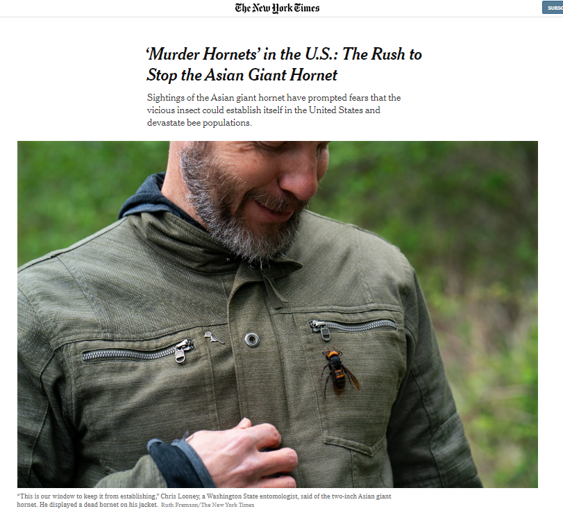 Ver imagen en Twitter