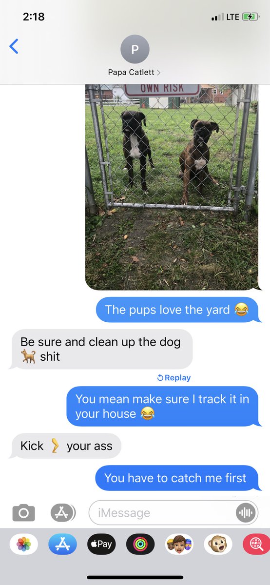 taylorcatlett's tweet photo. When your dad tells you not to bring the dogs over 😂 https://t.co/GzX6nSjpY7