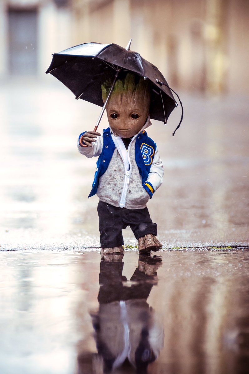 BatJu75's tweet photo. Dimanche pluvieux, dimanche... pluvieux 🌦☔️
Rainy Sunday... rainy Sunday 🌦☔️

#JaiPasFiniDeJouet
#BBGroot #toyphotography #toys #hottoys #dimanchepluvieux #PhotoDuJour #photo #PhotosOfTheDay https://t.co/1P6PPd5b61