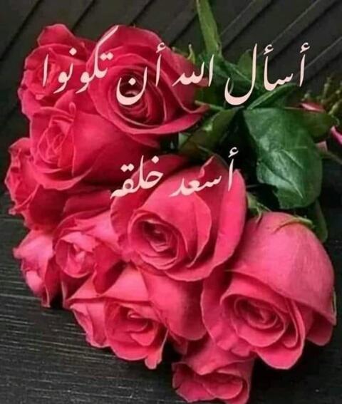 محمد ال خليف tweet media