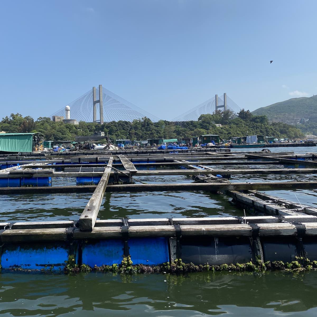 MakerBay tweet media