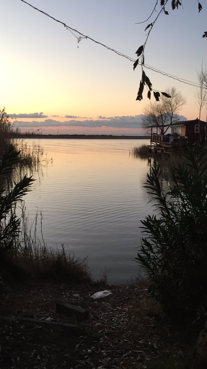 #seriksahiliniistiyor