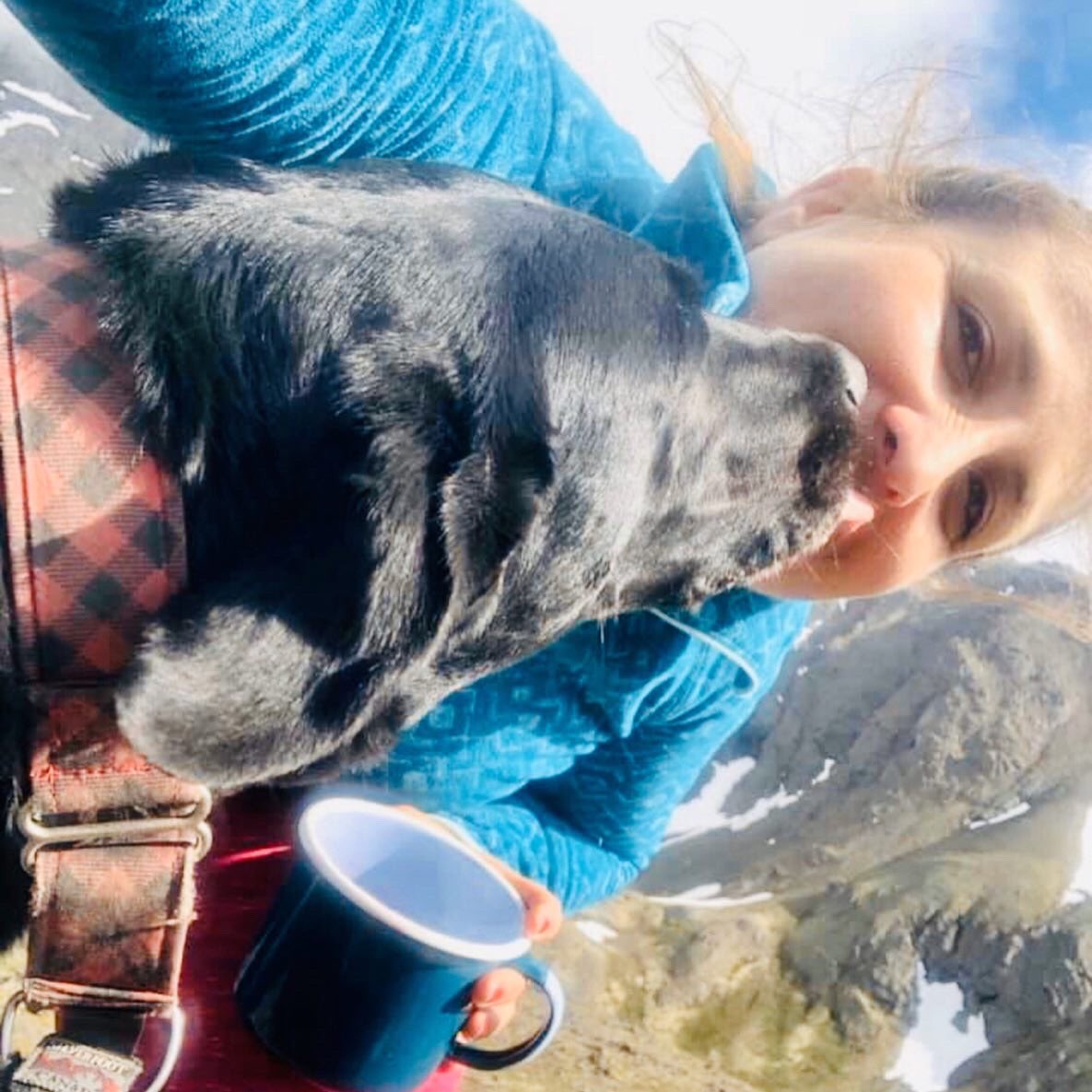StubbyDogs's tweet photo. DAY 6:
Every dog should be so lucky to be loved as much as Gracie's family loves her. These photos of Grace with the beautiful @mitzandpitz illustrate their story well. 

#Love #FamilyMatters #LoveStory #RescueDogsOfTwitter #Labrador #HumanCanineBond #StubbyDog #AdoptDontShop https://t.co/Pm34oCExTs
