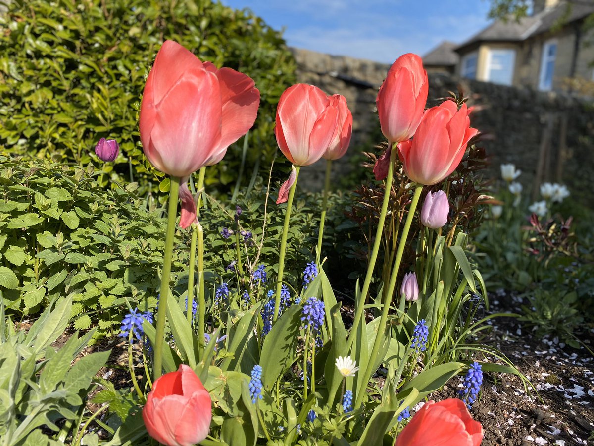 What a gem of a local park we have near us. Just gorgeous! #StarbankPark