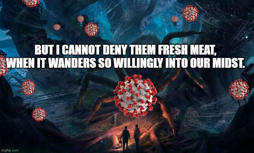 GabrielaIshka's tweet image. How I feel about the end of quarantine in my country.