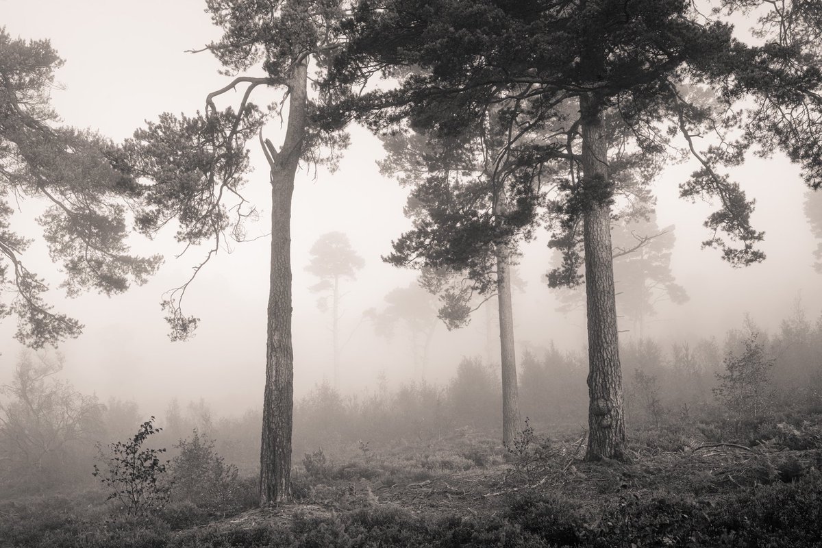 Back to the future, 2017 and freshly liked by the originator