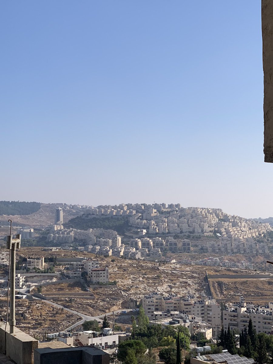 jonnsalomao's tweet photo. @dxwxrx Sim! E lá, na Palestina, está longe de ser amarelo! Tirei em #setembro2019 https://t.co/XLjB8x6pd4