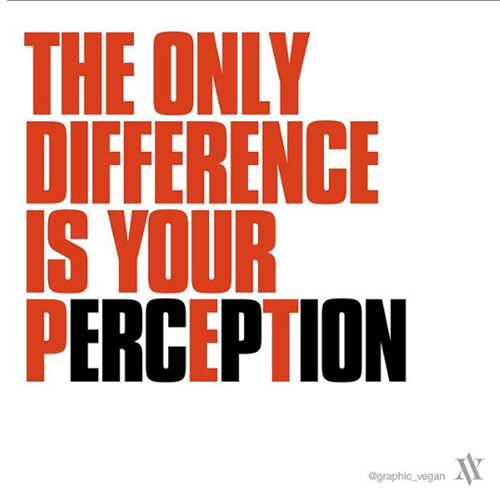 meatfreeplate's tweet photo. Are the companion animals we choose to share our homes with really more deserving of life than the animals we eat? No.
#graphicvegan #pets #petlovers #petlover #animallover #perception #speciesism #bevegan #meatfreelife #choosevegan #animalsarenotfood #maketheconnection #AACC https://t.co/6M2PS6IREP