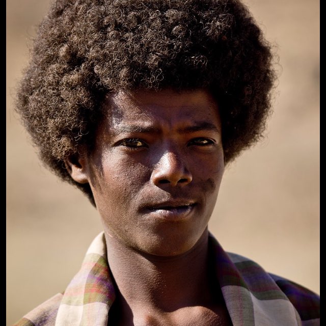 La coiffure crépue bouffante traditionnelle de ces combattants Afar devint alors un modèle pour le style Afro.
