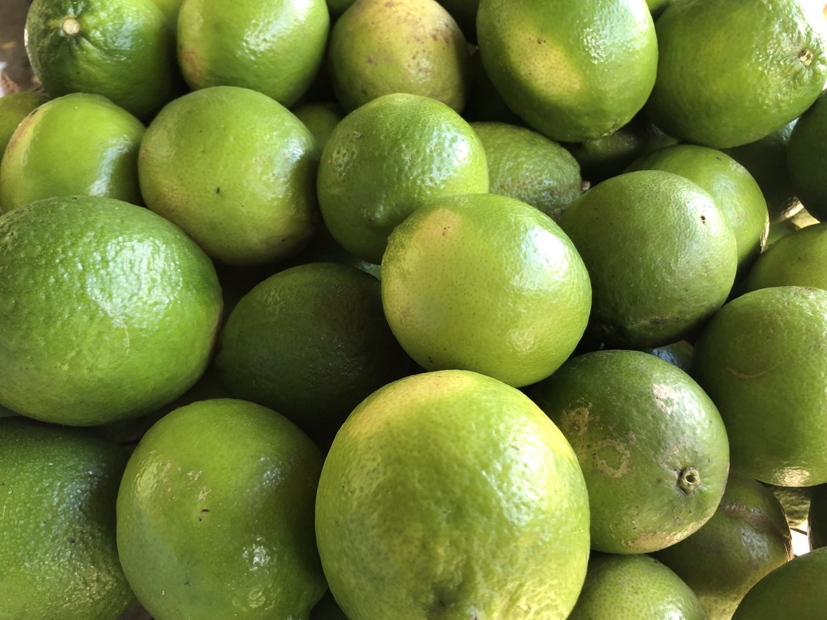 OrganicBelize's tweet photo. Keep healthy and safe with lime juice.  #limejuice #belize #organic #healthyliving #herbal #vitaminC https://t.co/oXputGtZjl