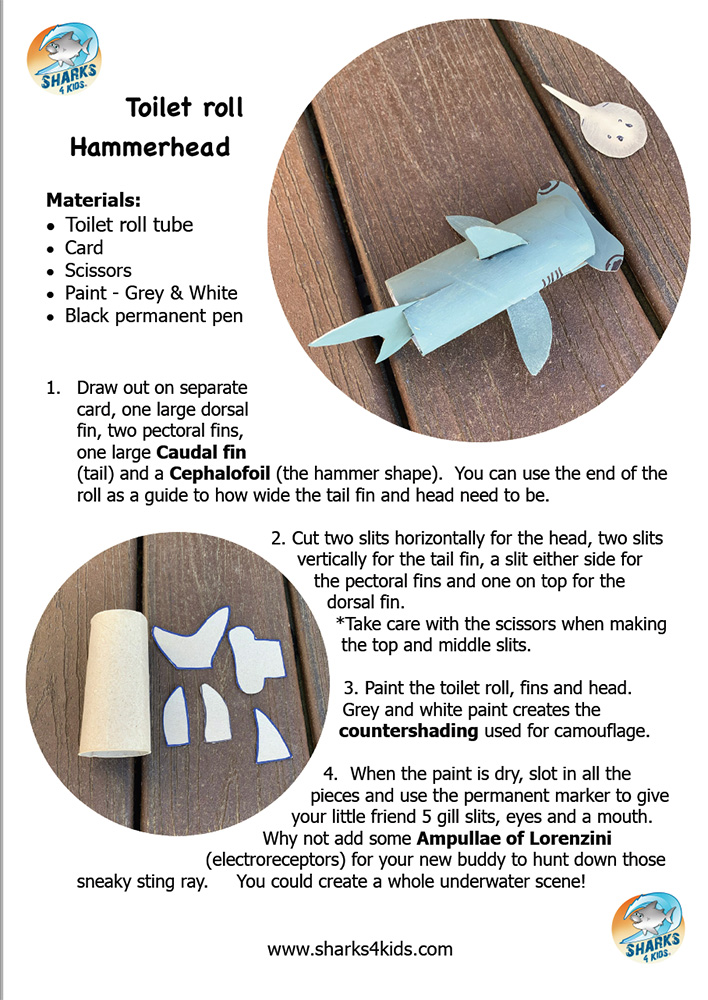 Sharks4Kids's tweet photo. JAWsome Shark Sunday craft!
Toilet paper roll hammerhead shark created by our very crafty ambassador @sharkladyuk
Download and dive in
https://t.co/g3VAOPYbM0 ( scroll down)
#kidscrafts
#craftsforkids
#sharkcraft
#hammerheadshark https://t.co/oUAmFrGDgr