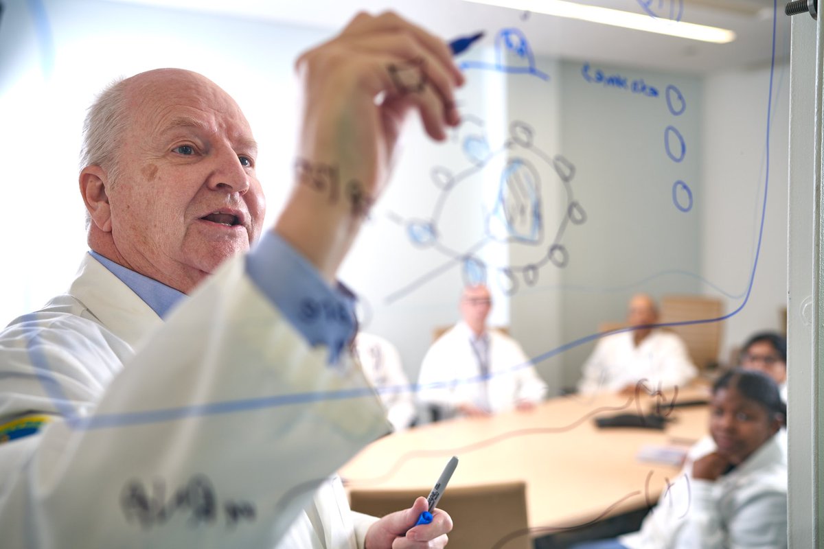 MSM Research tweet media