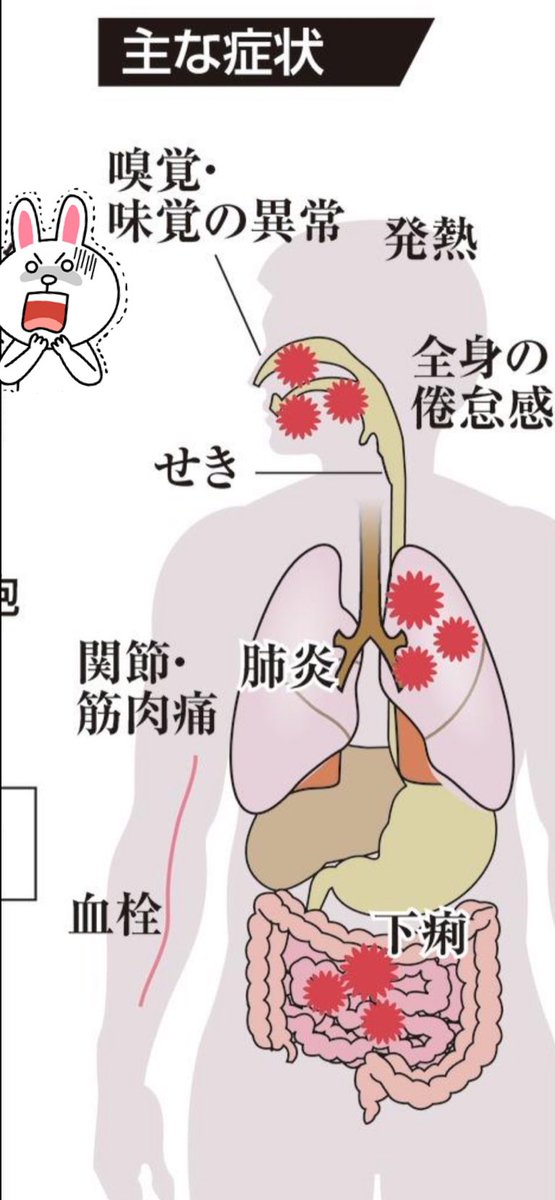 05 04 06 00時点の情報 コロナウイルストレンド情報 コロナウイルス情報を分析 可視化