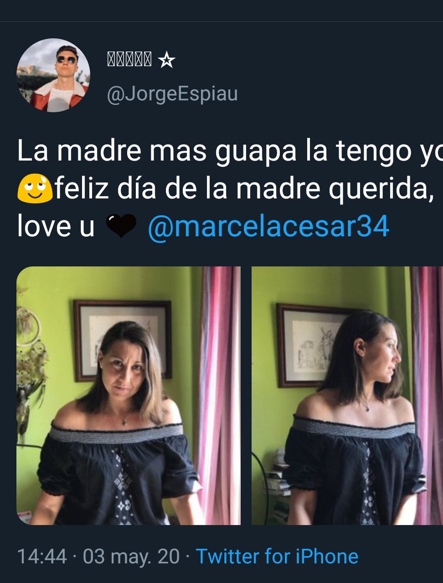 MariCristi tweet media