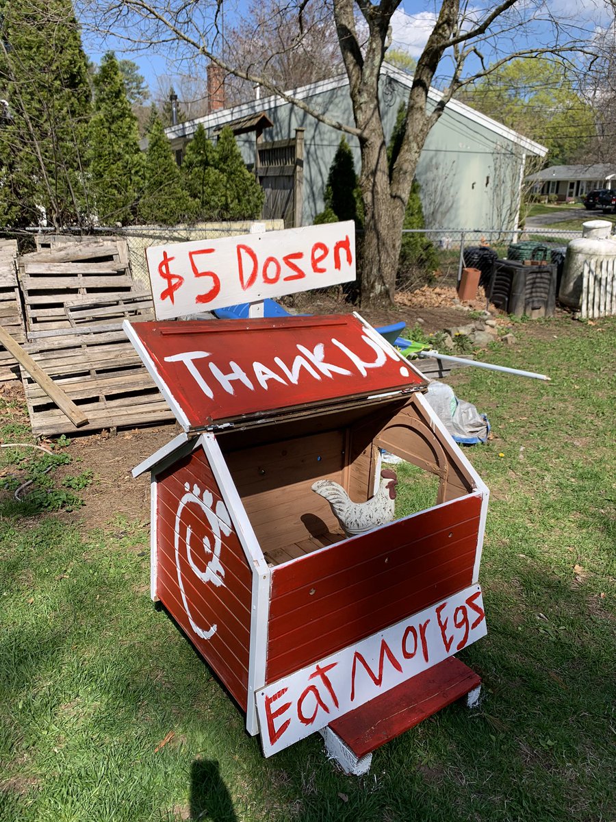 ComproskyQuinn's tweet photo. Hey @ChickfilA how do you like my chickens way to sell some eggs during quarantine? https://t.co/mCP3vYa69O